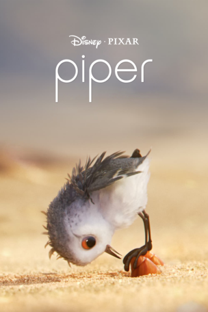 Piper